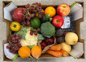 Solo Produce Basket